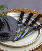 153 - Grillknivar Nweport 4-p - lifestyle (2) nemo.jpg