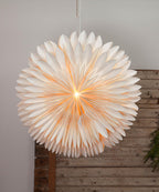 501-14-Set -Vit julstjärna Selected-lifestyle 1.jpg